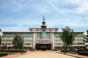 东岳研究院